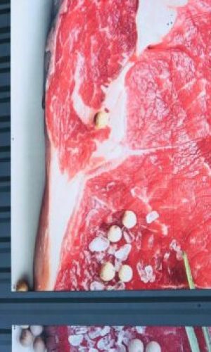 Tanger-Marche-Garges-550x350